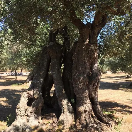 Palazzo Vilei Giurdignano