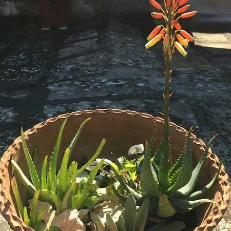 Frühstückspension Palazzo Vilei