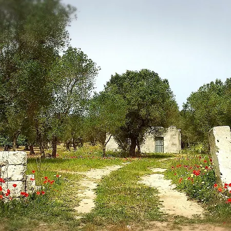 Frühstückspension Palazzo Vilei 3*